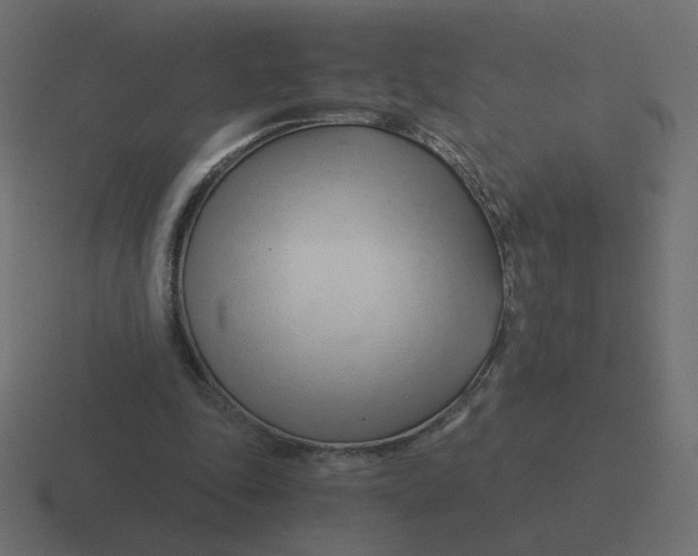 X0000116390343200912291754