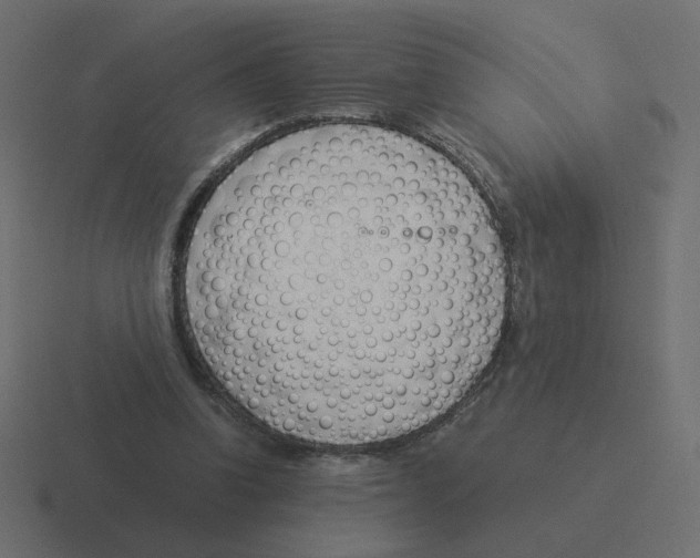 X0000116390346200912291754