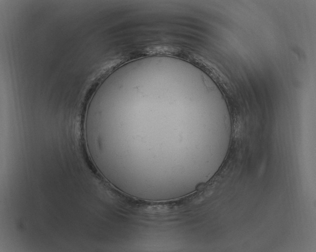 X0000116390353200912291754
