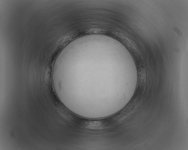 X0000116390361200912291754
