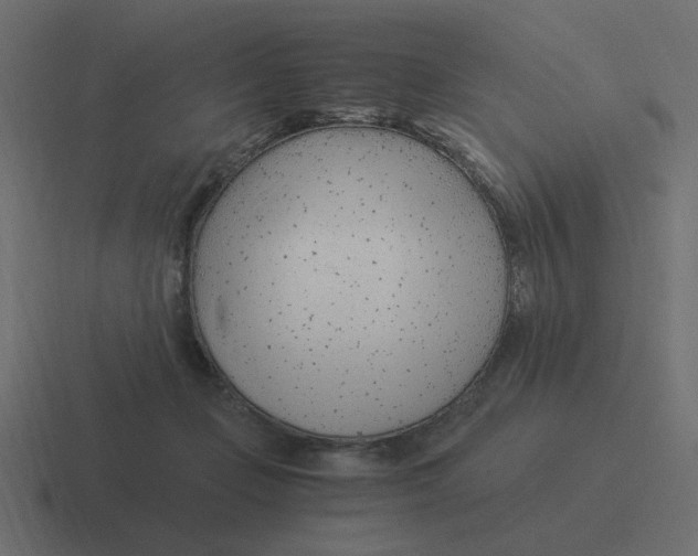 X0000116390365200912291754
