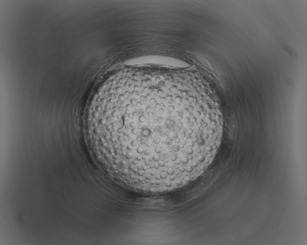 X0000116390366200912291755