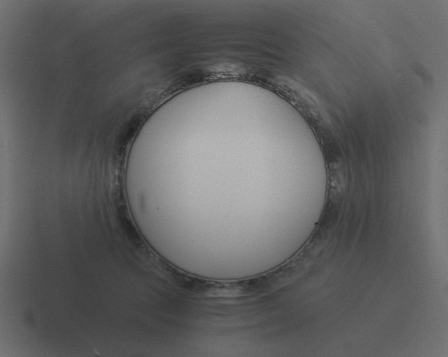 X0000116390369200912291755