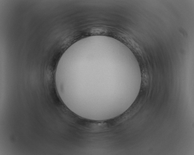 X0000116390375200912291755