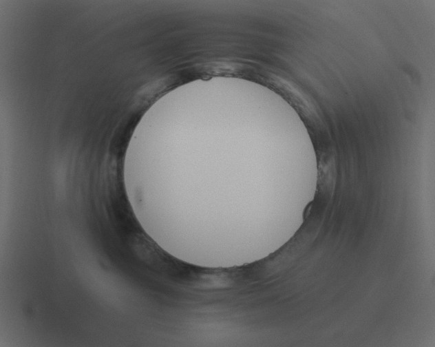 X0000116390381200912291755