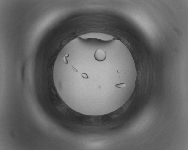 X0000116390383200912291755