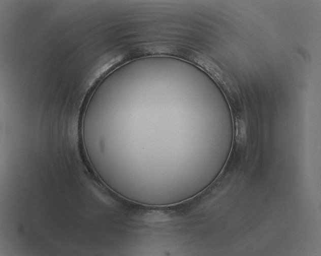 X0000116390390200912291754