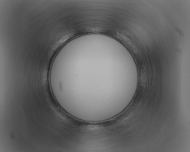 X0000116390394200912291754