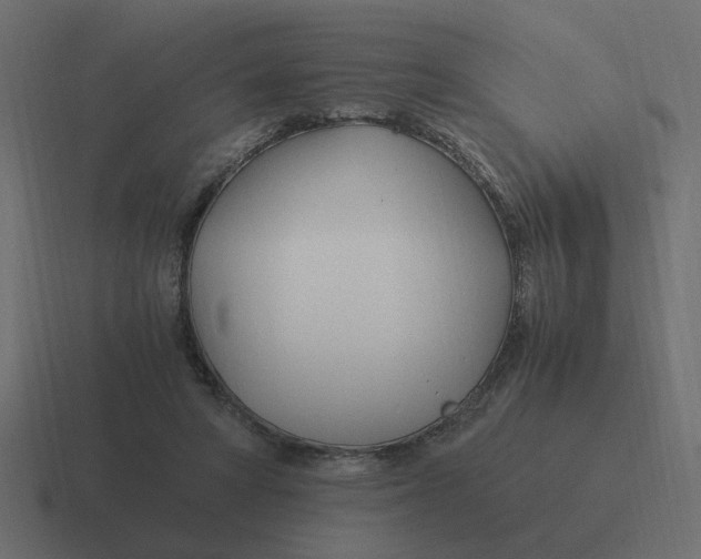 X0000116390402200912291754