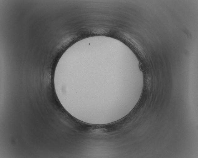X0000116390407200912291754