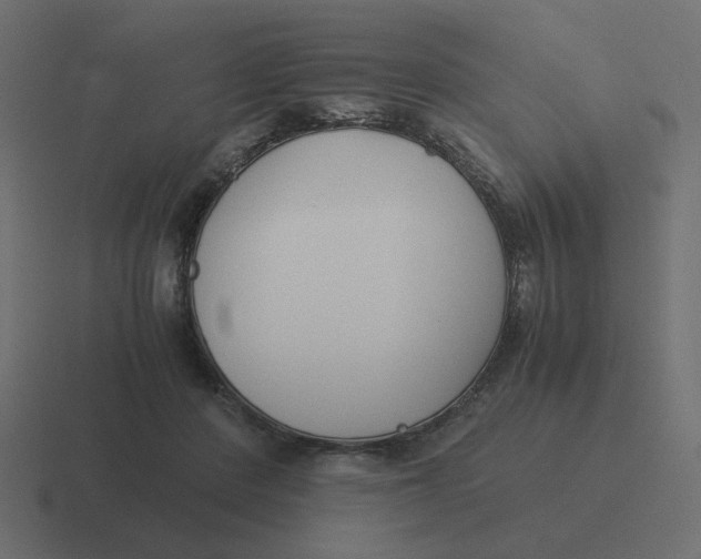 X0000116390408200912291754