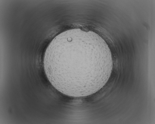 X0000116390418200912291754