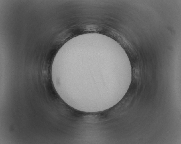 X0000116390422200912291754