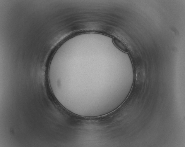 X0000116390436200912291753