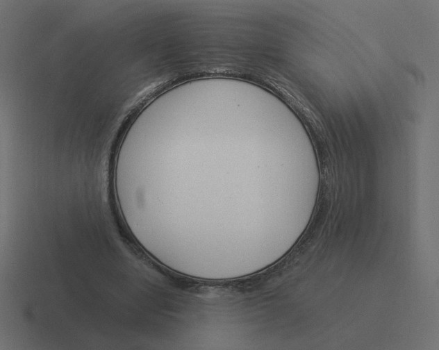 X0000116390442200912291753