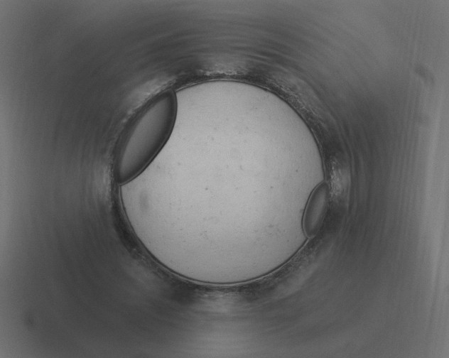 X0000116390444200912291753