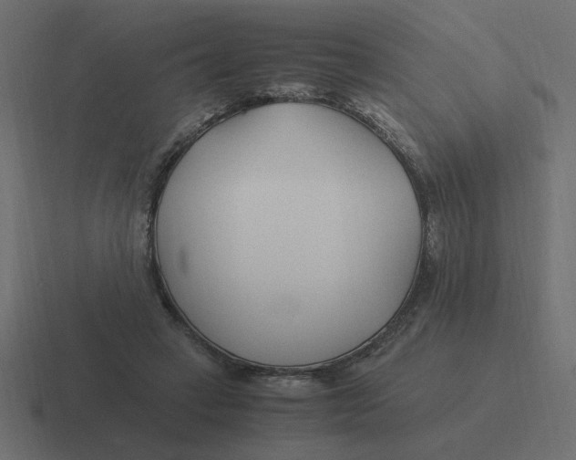 X0000116390449200912291753