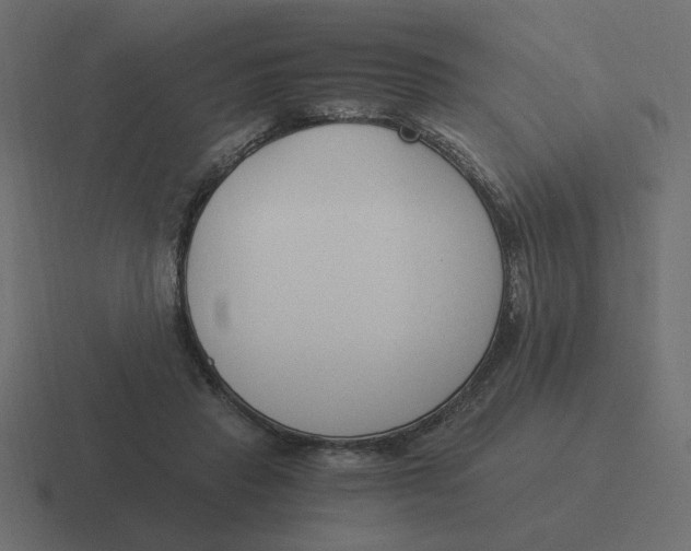 X0000116390453200912291753