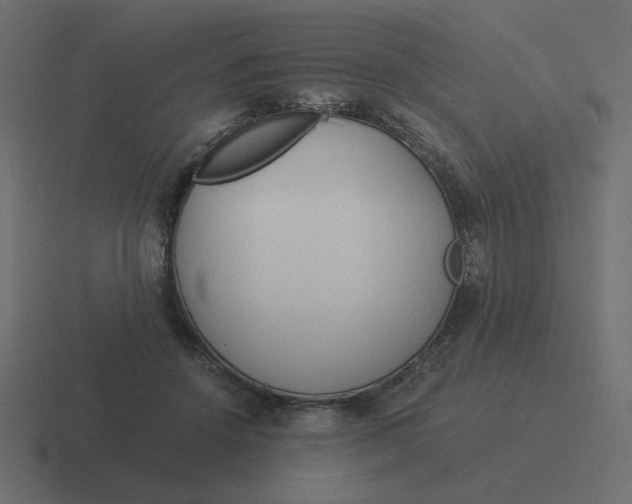 X0000116390456200912291753