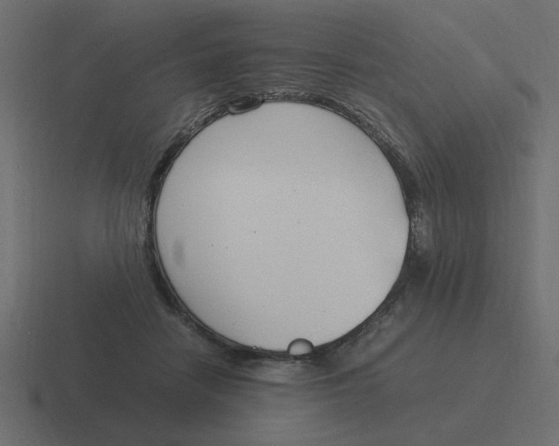 X0000116390458200912291753