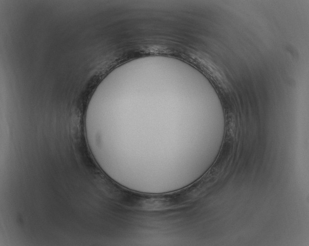 X0000116390461200912291753