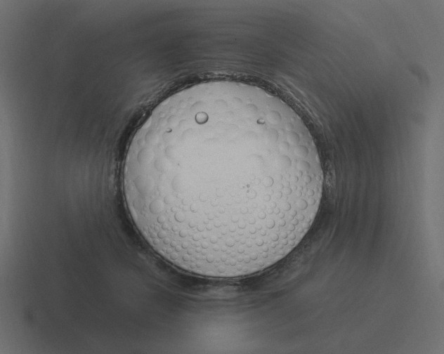 X0000116390462200912291753
