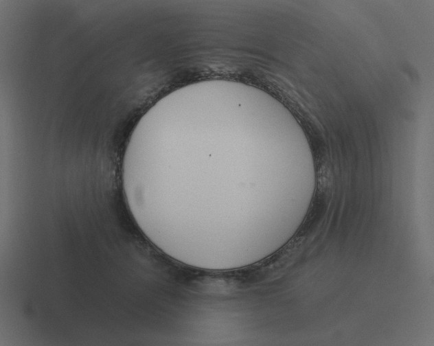 X0000116390464200912291753
