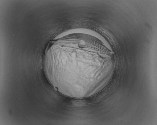 X0000116390465200912291753