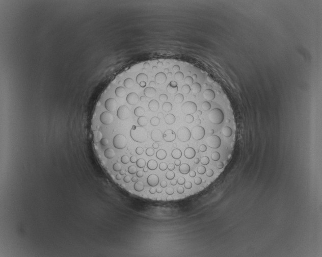 X0000116390466200912291753