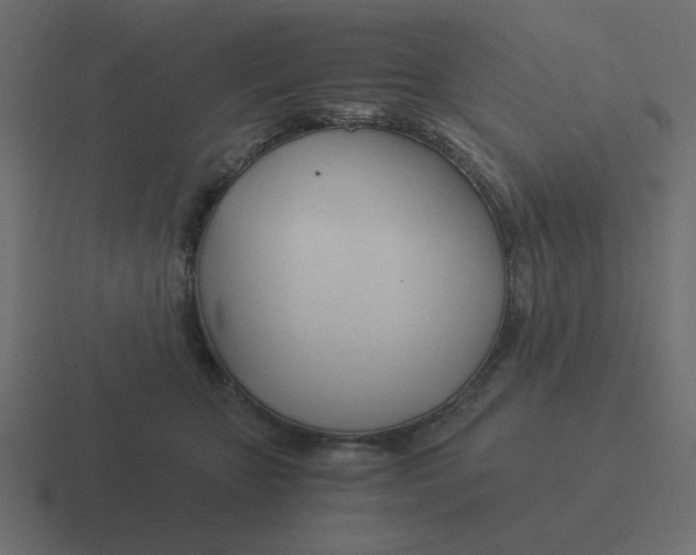 X0000116390467200912291753