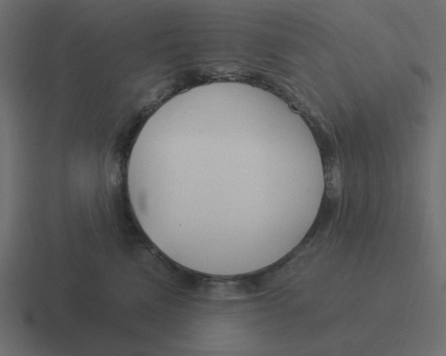X0000116390472200912291753