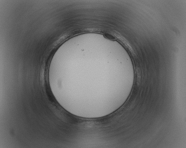 X0000116390482200912291753