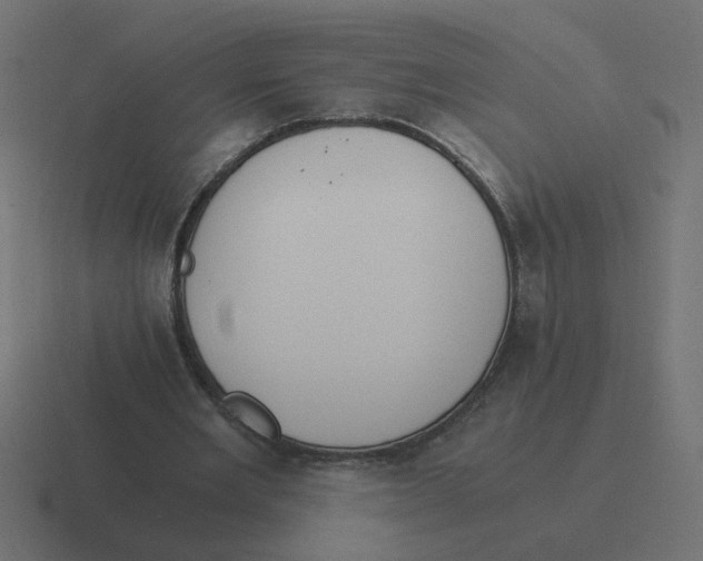 X0000116390485200912291753