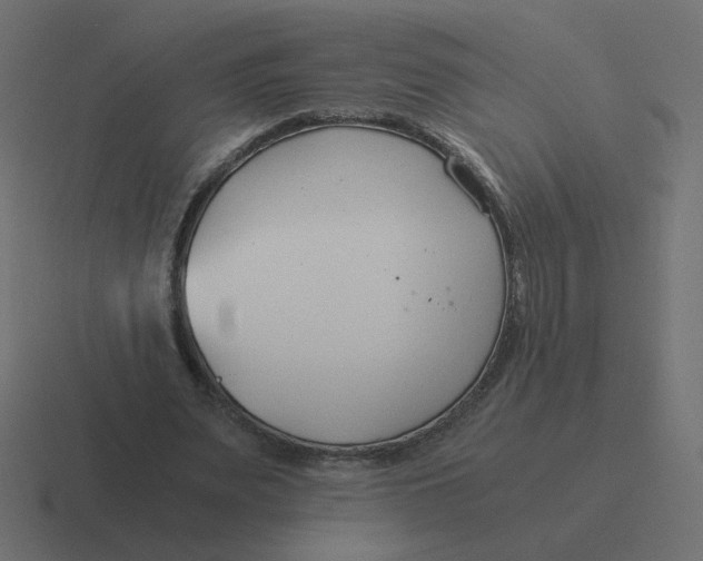 X0000116390487200912291753