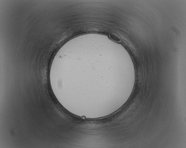 X0000116390489200912291753