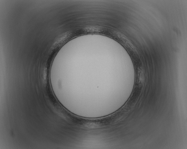 X0000116390494200912291753