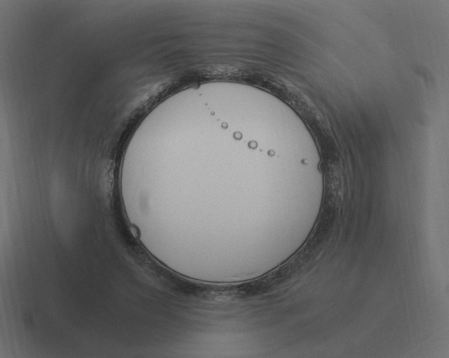 X0000116390495200912291753