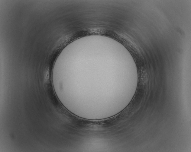 X0000116390502200912291753