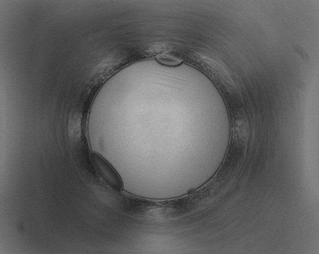 X0000116390504200912291753