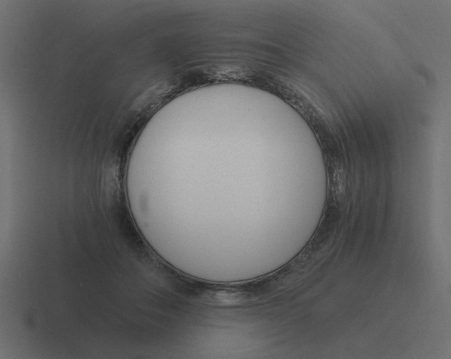 X0000116390506200912291753