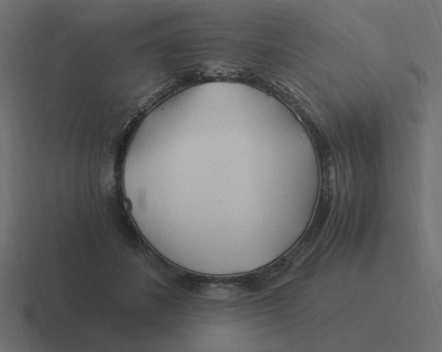 X0000116390508200912291753