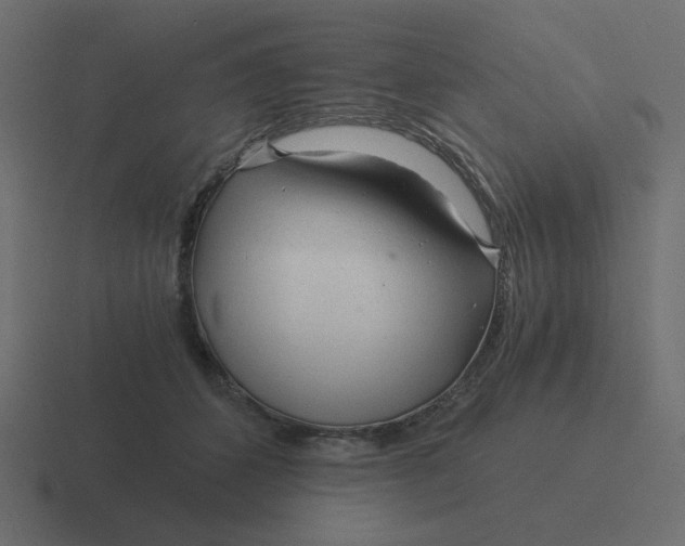 X0000116390512200912291753