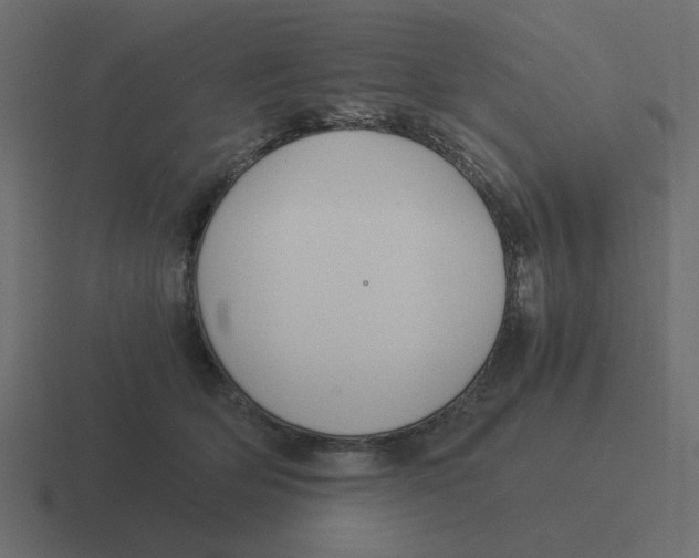 X0000116390514200912291752