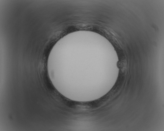 X0000116390515200912291752