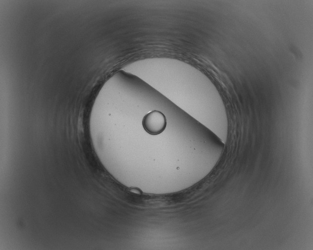 X0000116390516200912291752