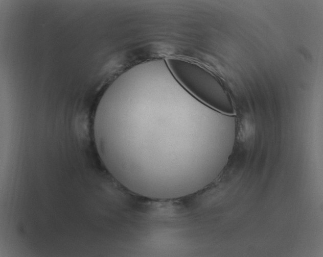 X0000116390524200912291752