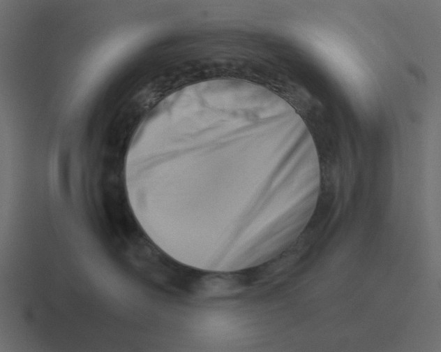 X0000116390526200912291752