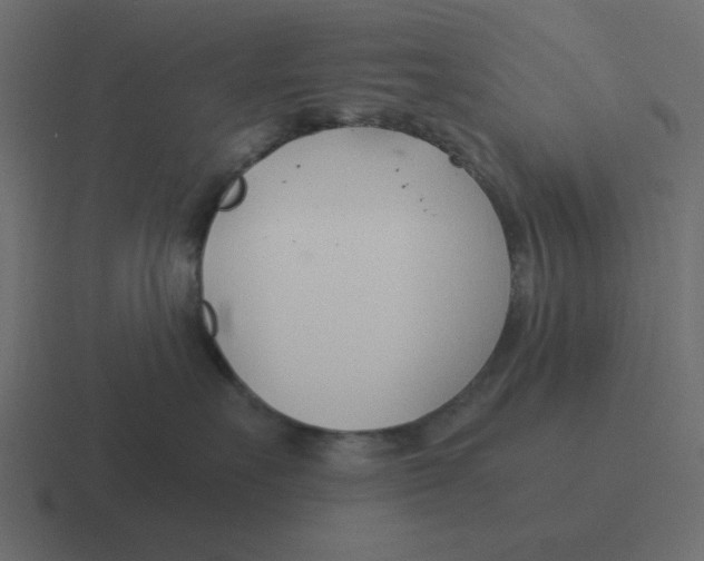 X0000116390527200912291752