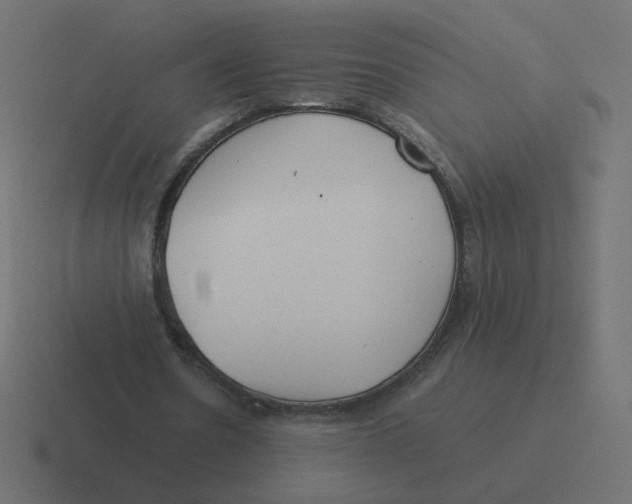 X0000116390530200912291752
