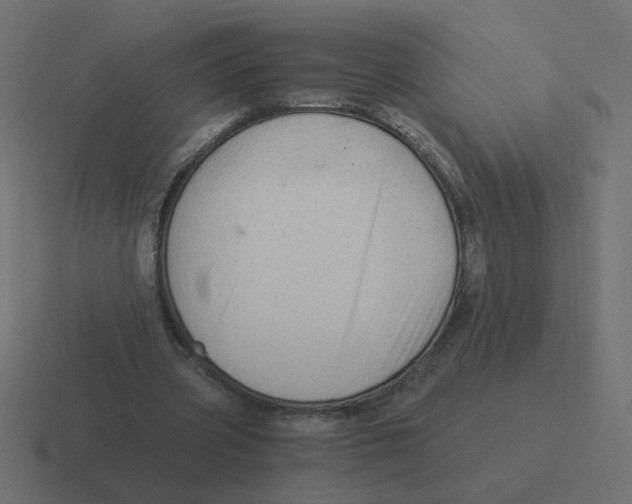X0000116390533200912291752